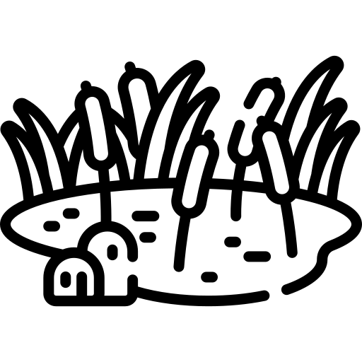 ⛲️ Étang